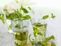 Melissentee Rezept