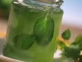 Minzgelee Rezept