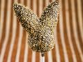 Osterhasen Cake Pop Rezept
