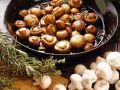 Pilzpfanne mit Kräutern der Provence Rezept