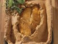 Putenbrust im Brotteig Rezept