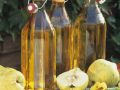 Quittensaft Rezept