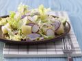Radieschen-Sprossen-Salat Rezept
