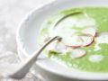 Radieschensuppe Rezept