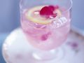 Rosen-Cocktail Rezept