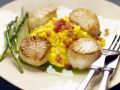 Safranrisotto mit Jakobsmuscheln Rezept