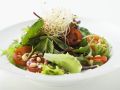 Salat mit Sprossen Rezept