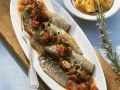 Sardinen mit Tomaten-Gemüse Rezept