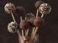 Schoko-Cake-Pops Rezept