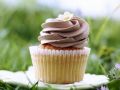 Sommer-Cupcake Rezept