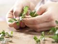 Spätzlepfanne Zubereitung Schritt 5 Spätzlepfanne Zubereitung Schritt 5
