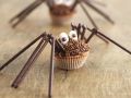 Spinnen-Muffins für Halloween Rezept