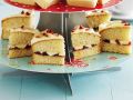 Sponge Cake Rezept