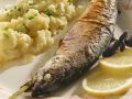 Steckerlfisch Rezept