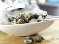 Venusmuscheltopf Zubereitung Schritt 2 Venusmuscheltopf Zubereitung Schritt 2