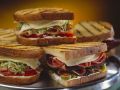 Verschiedene, gegrillte Sandwiches auf einer Platte Rezept