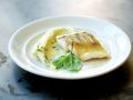 Zander mit Kartoffelbrei Rezept