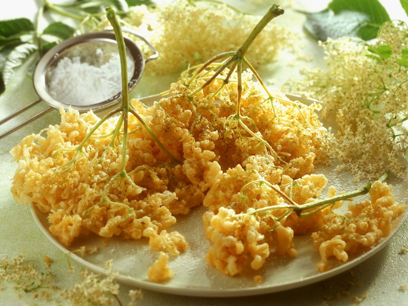 Hollerkuchle Frittierte Holunderbluten Rezept Eat Smarter 