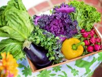 Mit voller Energie durch den Sommer