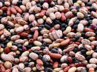 Ballaststoff-Wunder Hülsenfrüchte