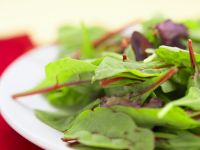 Blattsalat Blattsalat