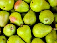 6 Gründe, warum Sie jetzt Birnen essen sollten!
