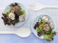 Bunte Frischkäsekugeln Rezept