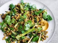 Dinkelsalat mit Fenchel und Johannisbeeren Rezept