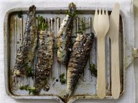 Gegrillte Sardinen portugiesisch Rezept