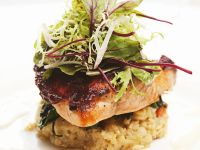 Gegrillter Lachs mit Linsen, Kräutersalat und Honig-Ziegenkäse-Emulsion Rezept