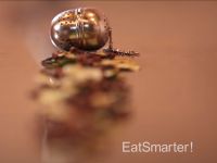 Tee-Ei für Gewürze (Gewürzei)