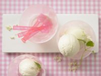 Holunderblüten-Joghurt-Eis Rezept