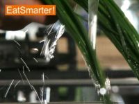 Wie Sie Schnittlauch im Handumdrehen waschen und trockenschütteln