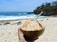 Kokosmilch und Kokoswasser: Was ist der Unterschied?