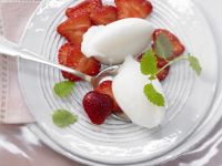 Melisse-Sorbet Rezept