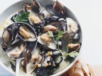 Miesmuscheln mit Weißwein und Petersilie Rezept