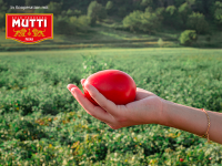 Saucenguide: 7 Tipps, wie die perfekte italienische Tomatensauce gelingt