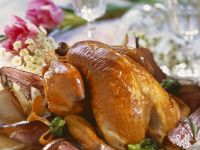 Perlhuhn Perlhuhn