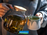 Pflanzliche Schlafmittel: Welche Kräuter, Gewürze und Tees wirklich wirken