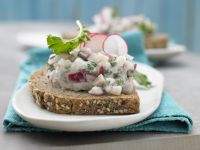 Radieschen-Matjes-Tatar Rezept