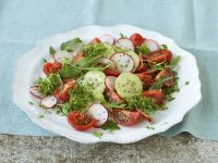 Radieschensalat mit Gurke Rezept