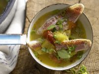 Rotbarben in Gemüsesuppe Rezept