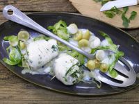 Schollenröllchen auf Spitzkohl Rezept