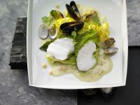 Seeteufel im Wirsing Rezept