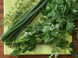 Kräuter gesund fit
