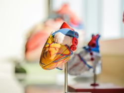 © Unsplash/ jesse orrico