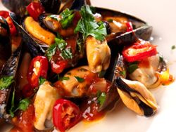 Mittelmeer Miesmuscheln