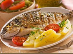 Mittelmeer Goldbrassen