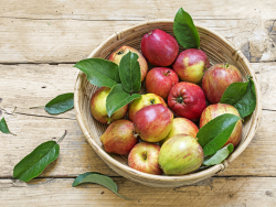 Apfelkorb - Apfelallergiker sollten vorsichtig sein