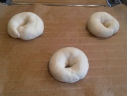 Bagels selber machen